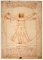 Leonardo da Vinci, Uomo vitruviano (Vitruvian Man), c. 1490