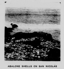 Abalone shells Nicoleño.png