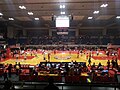 Nagoya Diamond Dolphins （Basketball）