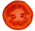 Tomato-cut horizontal.png