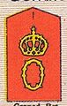 Achselklappe GrenRegt Nr.119