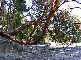 Gabriola Island, British Columbia