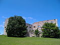 image=https://commons.wikimedia.org/wiki/File:Burgruine_Schloss_Hellenstein.JPG