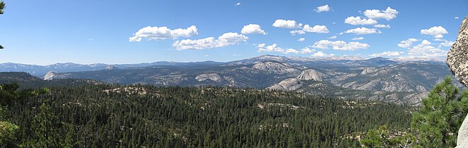 Panorama of the wilderness