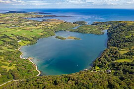 2019-07-31-Lough Hyne-0828.jpg