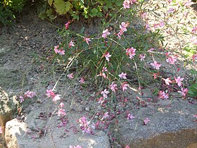 In Jeondeungsa, Korea