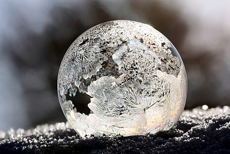 Third place: Frosted bubble Attribution: Danielarapava (CC BY-SA 4.0)