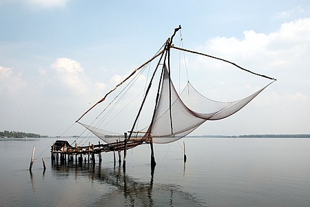 Chinese fishing net