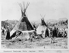 Shoshoni tipis.jpg