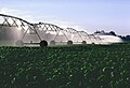 Central Pivot Irrigation