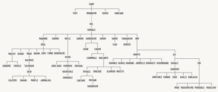 Somali genealogical tree.png