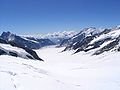 Großer Aletschgletscher (Bernese Alps), view from Jungfraujoch