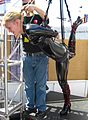 Bondage demo at the 2005 fair