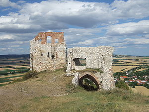 Burgruine_Staatz.jpg