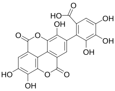 Flavogallonic acid dilactone.svg