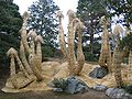 Arbres « paillés », Villa impériale de Katsura - Kyōto