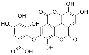 Valoneic acid dilactone.svg