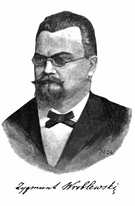 Zygmunt Wróblewski -  Bild