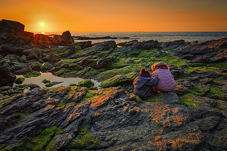 El-djamila ex-la Madrague, Ain Benian. Photograph: Chettouh Nabil