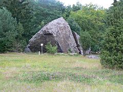 Glacial erratics on Kasispea, Estonia