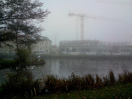 Nebelwetter am Teich in NMS.