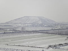 五陵瑞雪.jpg