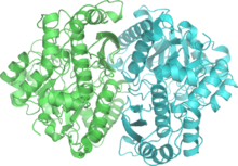 Enolase 2ONE wpmp.png