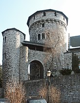 Bergfried mit Dansker