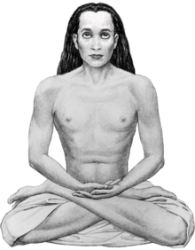 Babaji-transparent.png