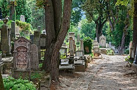 German cemetery in Sighișoara, Romania