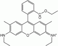 Rhodamine G6