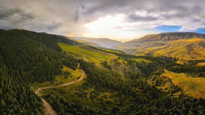 Almaty State Complex Nature Sanctuary, Almaty Region author — Мирсаитов Ислам