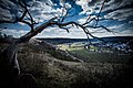 Blick nach Wasserzell an der Altmühl bei Eichstätt