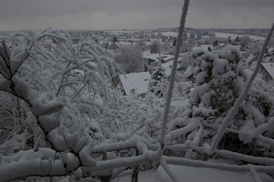 Winter at Bassersdorff