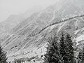 In winter snow, Almarasan gorge, near Almaty