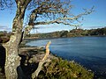 Paysage de l'Anse Saint-Laurent 2