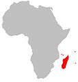 Distribution (Africa)