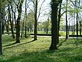 Alter Kurpark