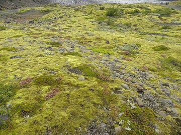 Still older moraines at Skaftafellsjökull