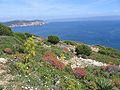 Capo Caccia