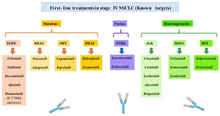 Non-small-cell lung cancer.webp