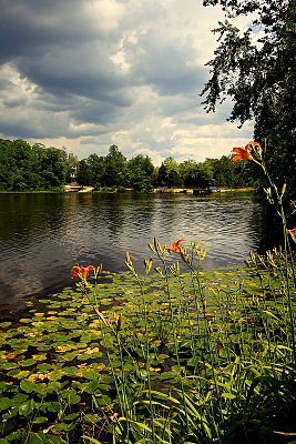 File:Batsto Village Lake.jpg