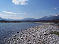 Il fiume Piave nella Valbelluna