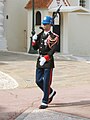 Guard outside the palace