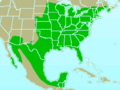 Northern Cardinal range map.