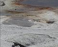 Mammoth Hot Springs