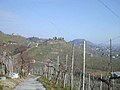 Colline nei pressi di Farra di Soligo