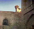 A stork in its nest, atop a building. Bukhara