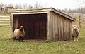 osmwiki:File:WHHS Sheep Pen.jpg