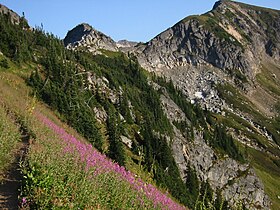 Glacier Peak Wilderness